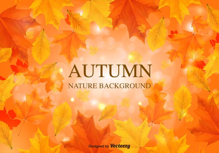 700x490 Fall Background Vector Leaves