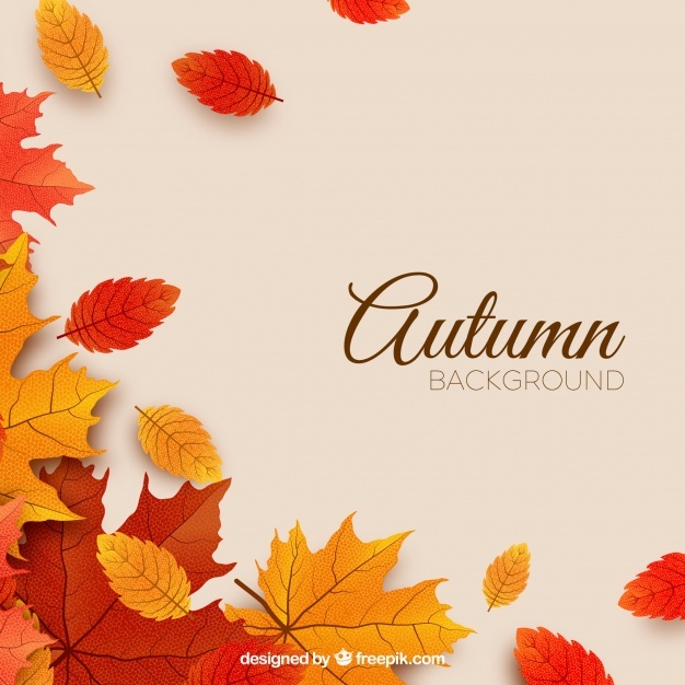 626x626 Fall Vectors, Photos And Psd Files Free Download