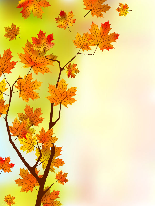 600x800 Fall Of Maple Leaf Elements Background Vector 04 Free Download
