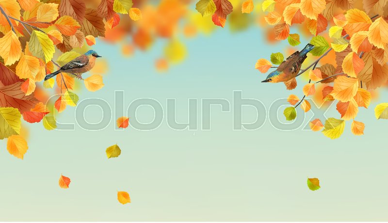 800x460 Vector Autumn Landscape With Tree Branches, Falling Leaves And