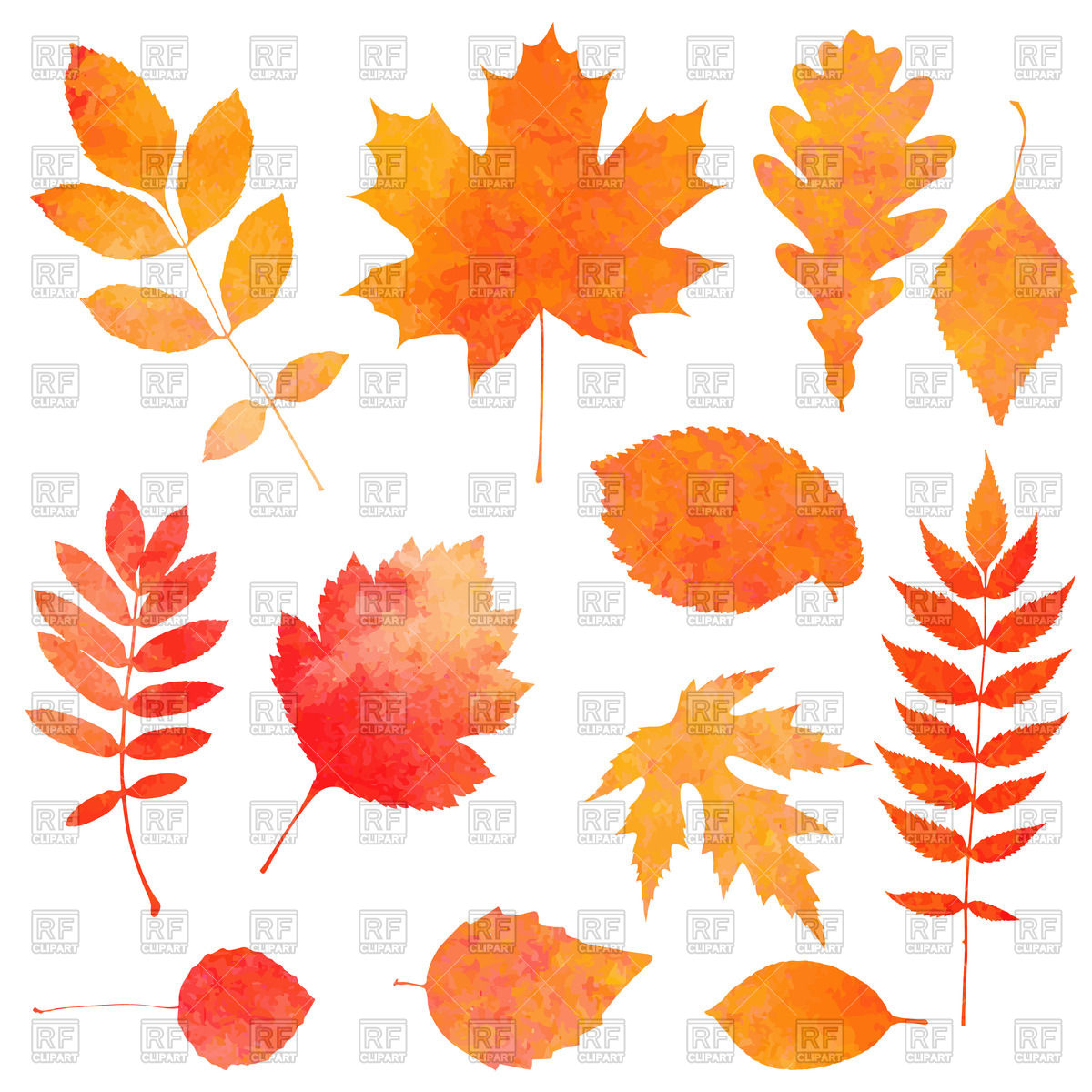 1200x1200 Collection Of Orange Watercolor Autumn Leaves Vector Image