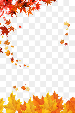 260x391 Fall Leaves Png, Vectors, Psd, And Clipart For Free Download Pngtree