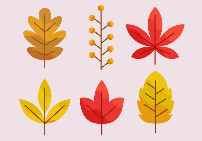 700x490 Free Autumn Leaves Vector