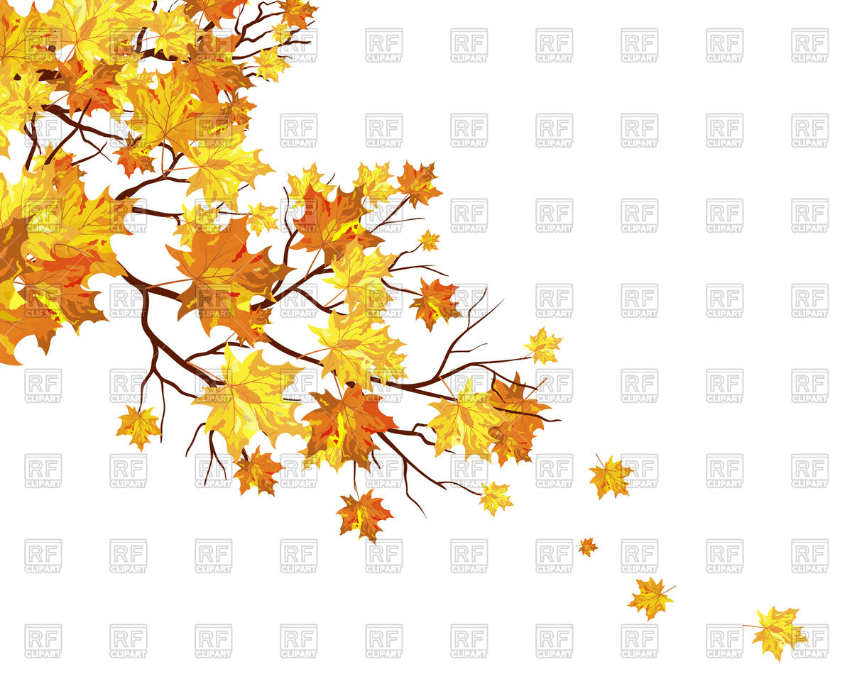 1200x960 Tree Branch With Falling Yellow Autumn Leaves Vector Image