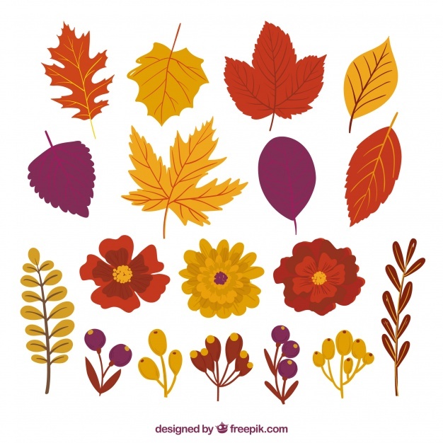 626x626 Autumn Vectors, Photos And Psd Files Free Download