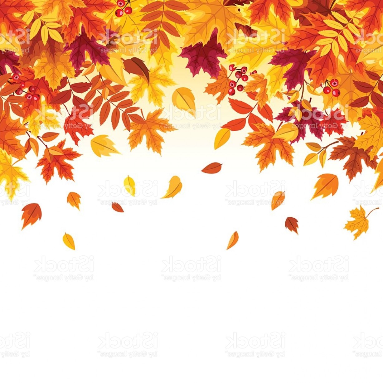 1228x1228 Background With Colorful Falling Autumn Leaves Vector Illustration