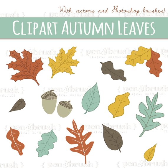 570x570 Clip Art Fall Leaves Vector Eps Editable Photoshop Etsy