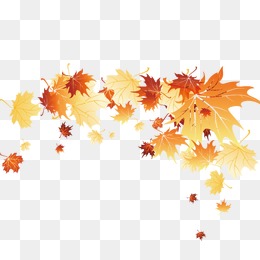 260x260 Fall Leaves Png, Vectors, Psd, And Clipart For Free Download Pngtree