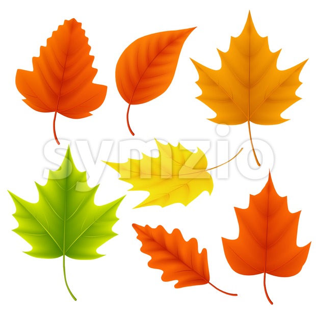 620x620 Fall Leaves Vector Set For Autumn Season And Elements Vector