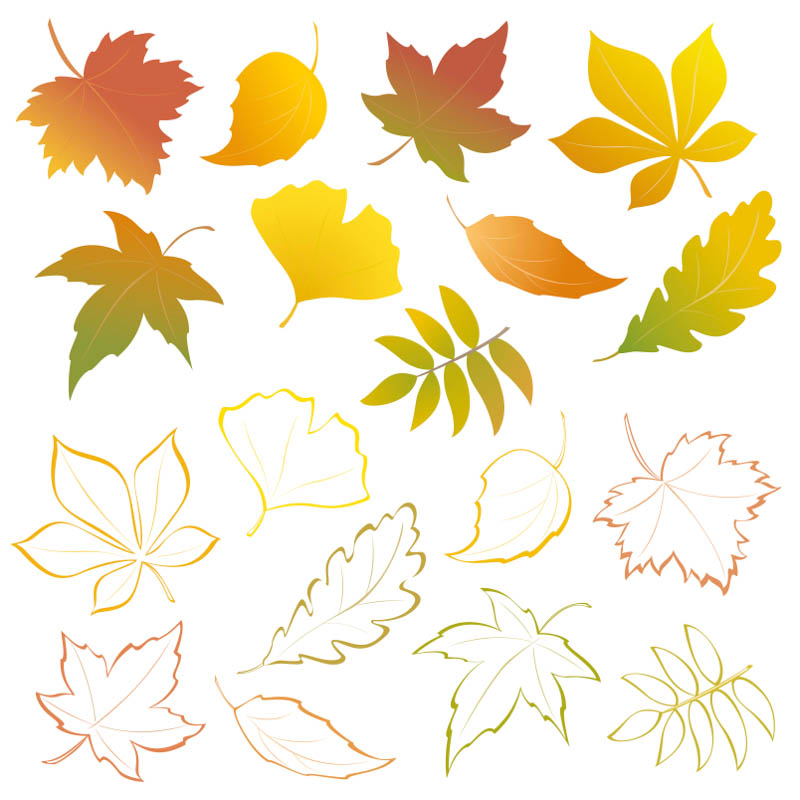 800x800 Fall Leaves 2013 Vector Vector Graphics Blog