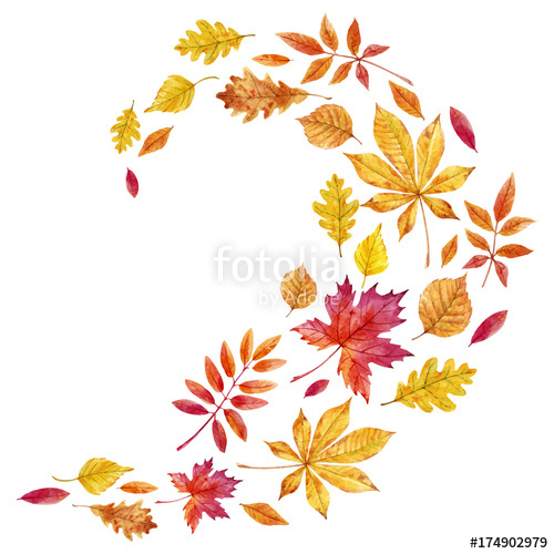 500x500 Watercolor Fall Leaves Vector Set Stock Image And Royalty Free
