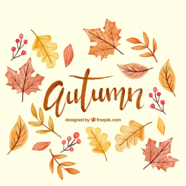 626x626 Watercolor Background With Autumn Leaves Vector Free Download