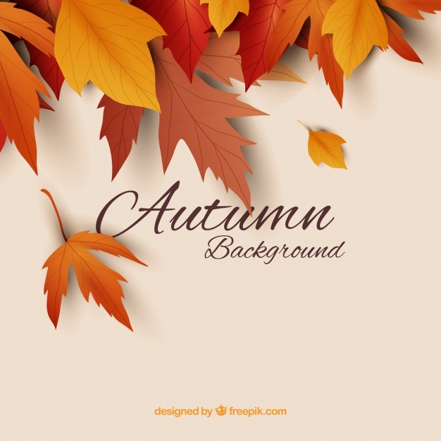 626x626 Autumn Vectors, Photos And Psd Files Free Download