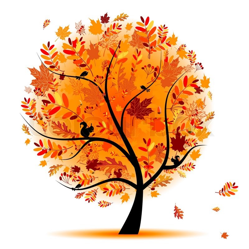 800x800 Beautiful Autumn Tree For Your Design Stock Vector Colourbox