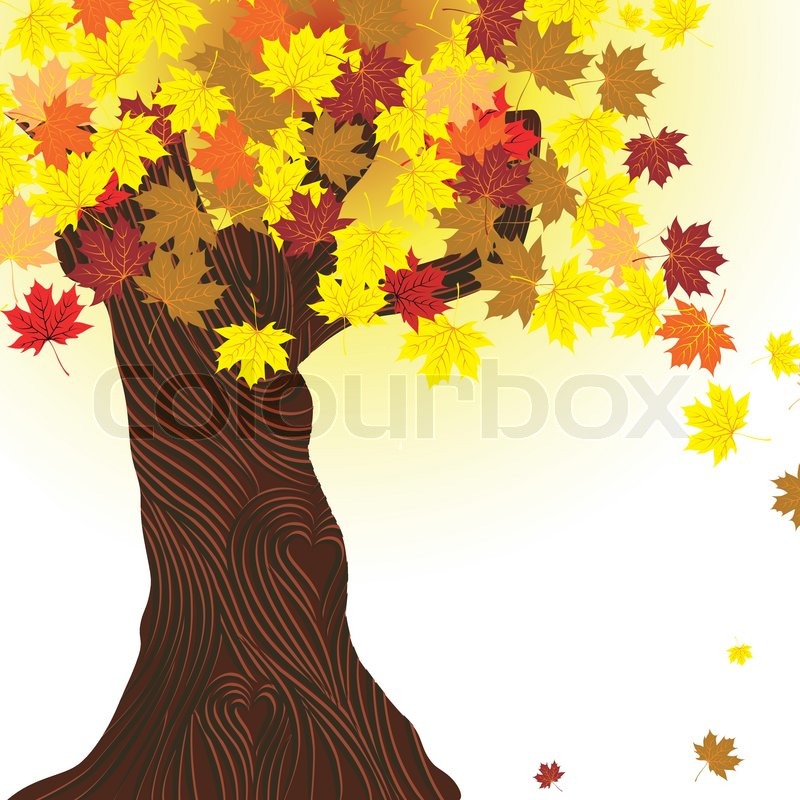 800x800 Beautiful Autumn Tree Vector Maple Background Design Element Fall