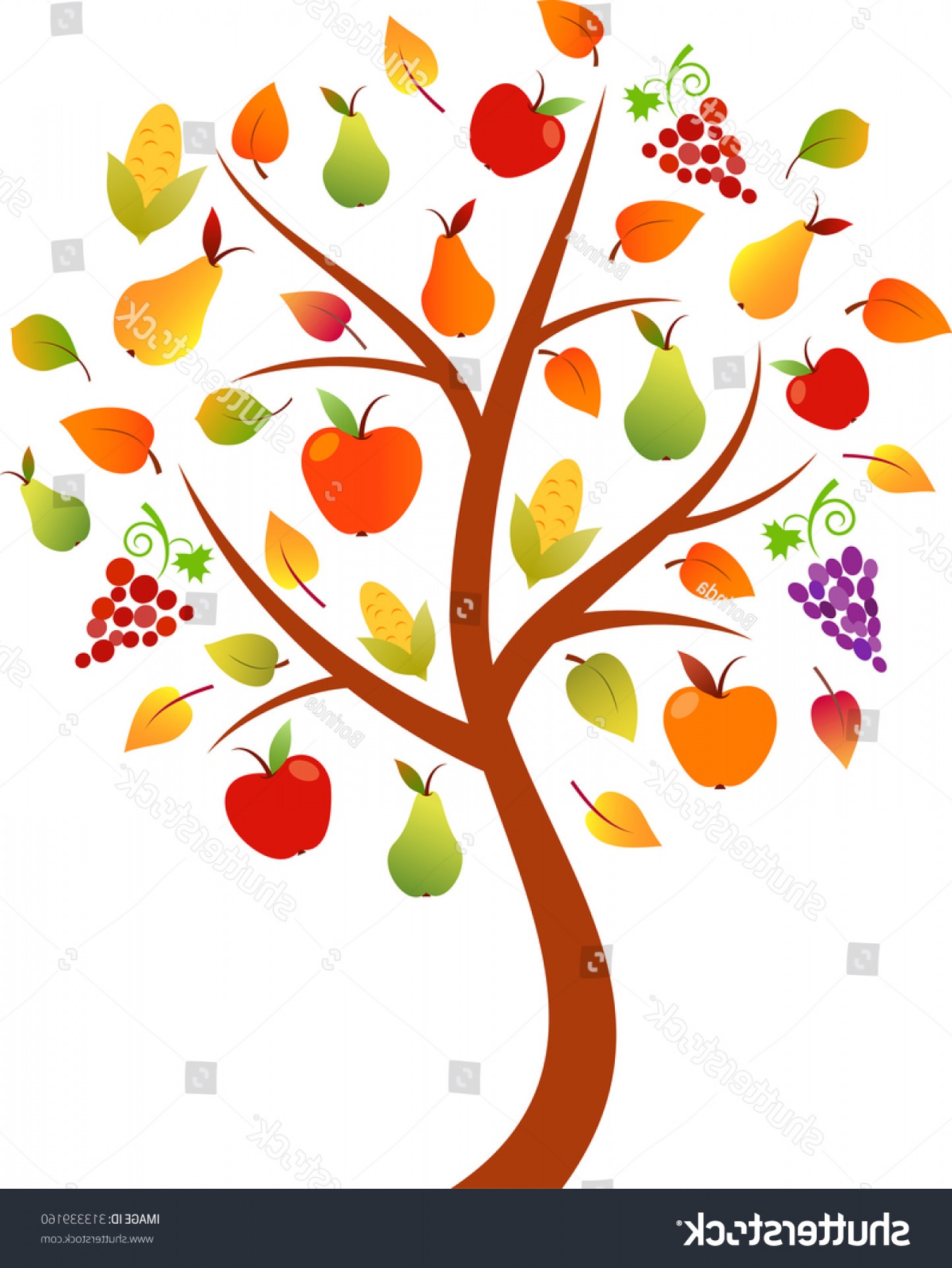 1443x1920 Fall Tree Vector Fruit Vegetable Rongholland