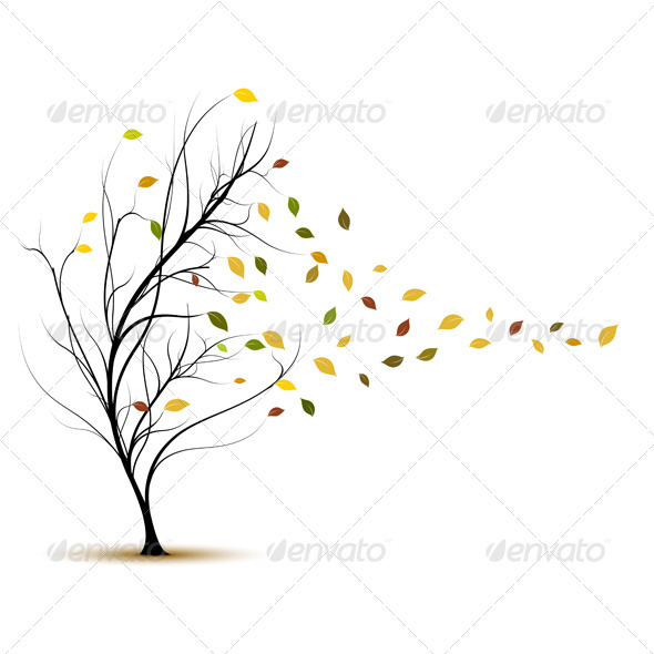 590x590 Fall Tree In Autumn With Wind Blowing
