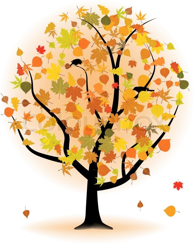 638x800 Maple Tree, Autumn Leaf Fall. Eps 8 Vector File Included Stock