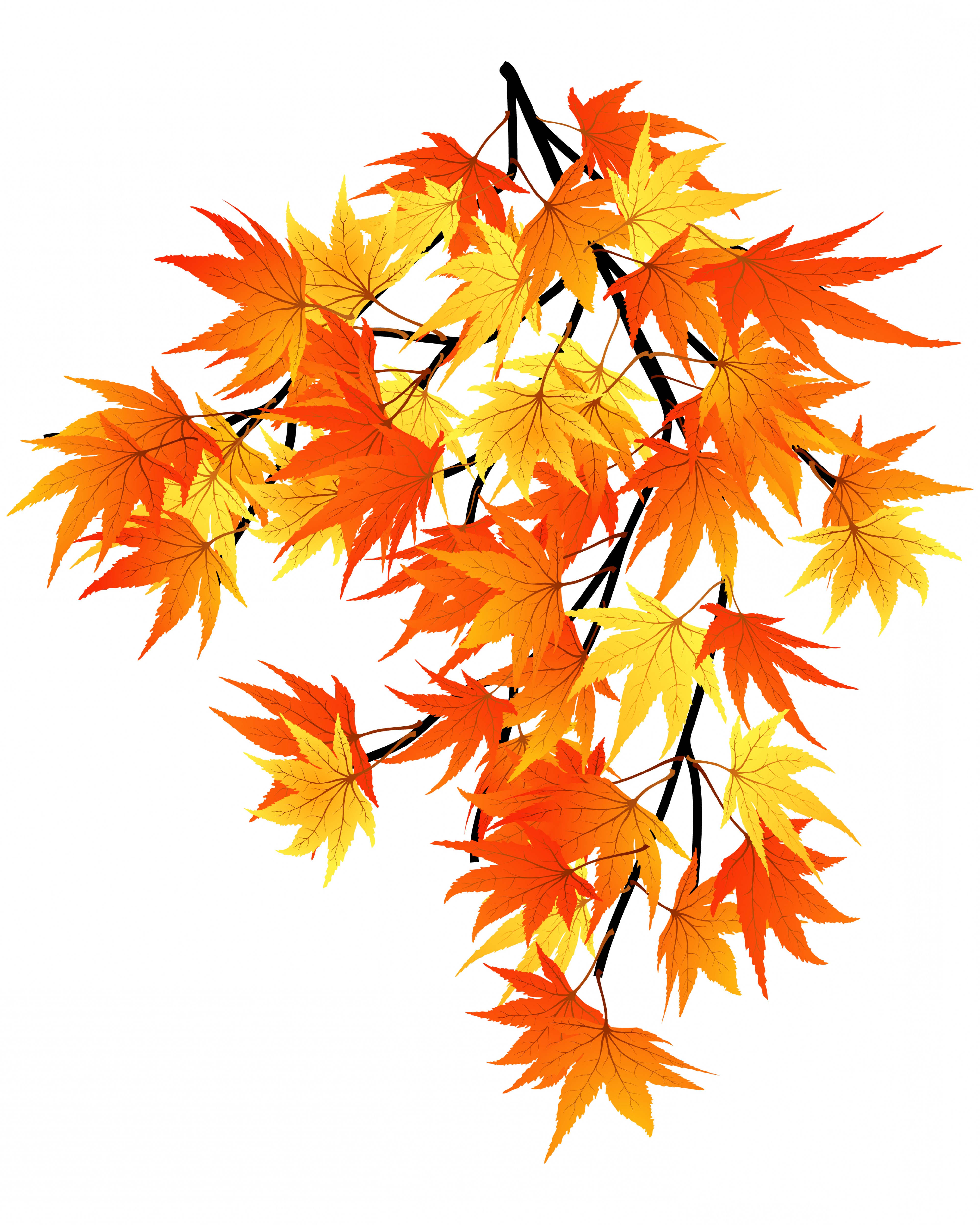 Fall Tree Vector at GetDrawings | Free download