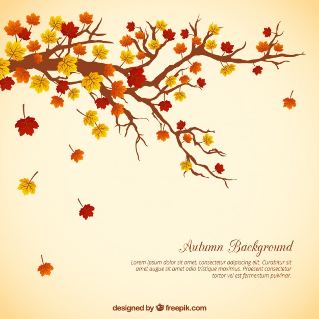 626x626 Tree Branch With Leaves Background Vector Free Download