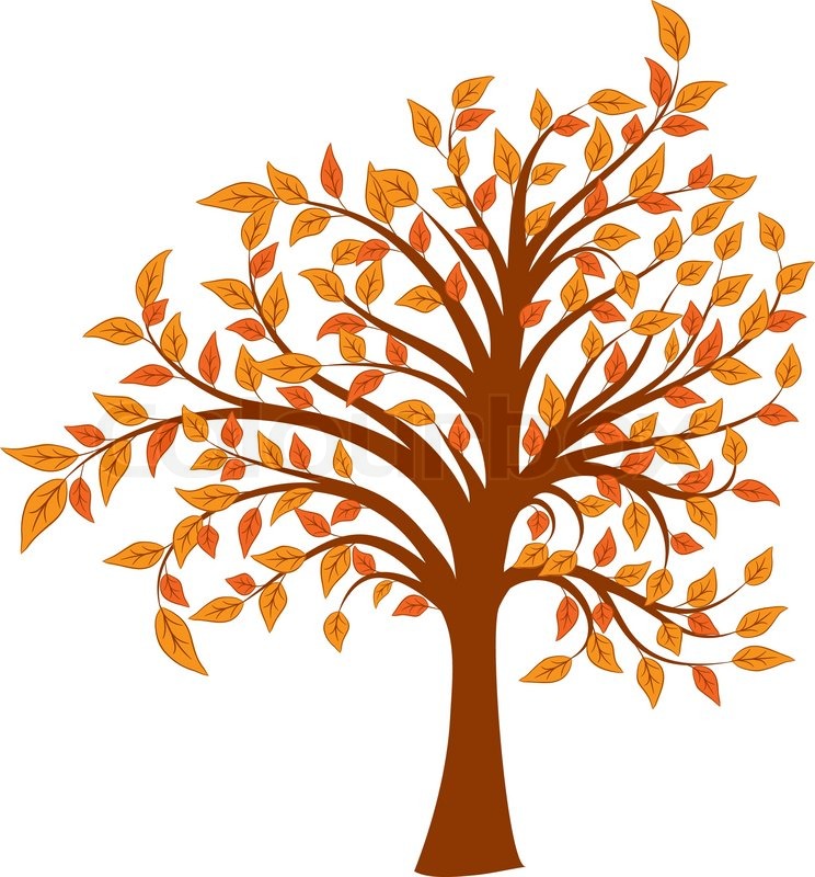 744x800 Autumn Tree, Vector Illustration Stock Vector Colourbox