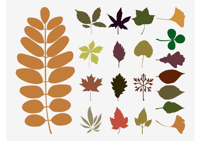 700x490 Fall Leaves Vectors 117513