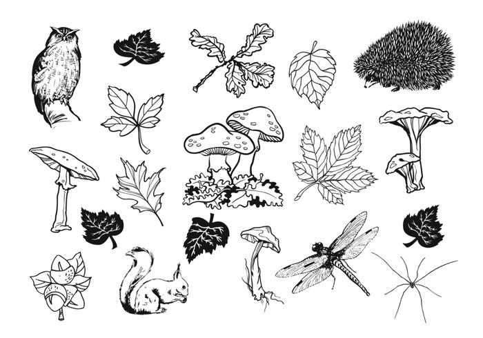 700x490 Hand Drawn Natural Fall Vector Pack