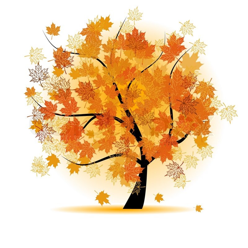 800x800 Maple Tree, Autumn Leaf Fall Stock Vector Colourbox