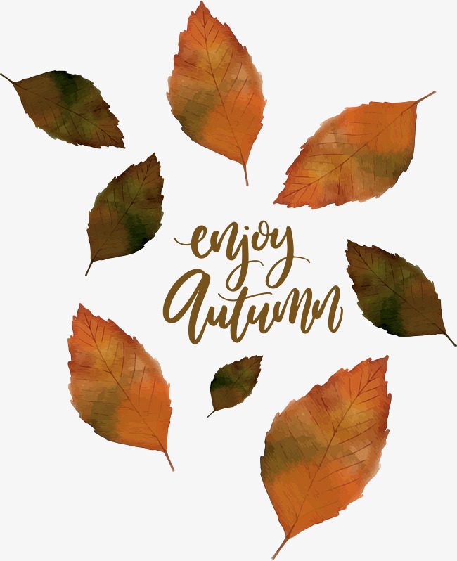 650x798 Autumn Leaves Falling In The Fall, Vector Png, The Autumn Leaves