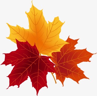 314x311 Red Leaves, Fall, Vector Png And Vector For Free Download