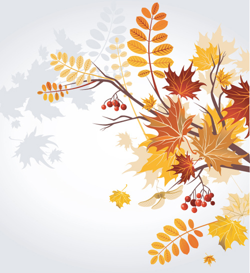500x546 Set Of Leaf Fall Vector Backgrounds Vector Free Vector In