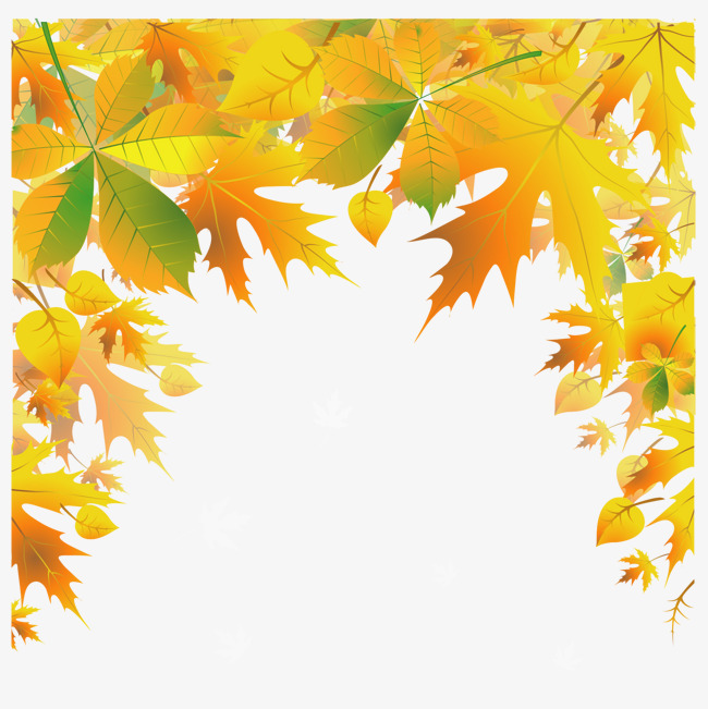 650x651 Yellow Leaves Fall Vector, Background, Frame, Leaf Png And Vector
