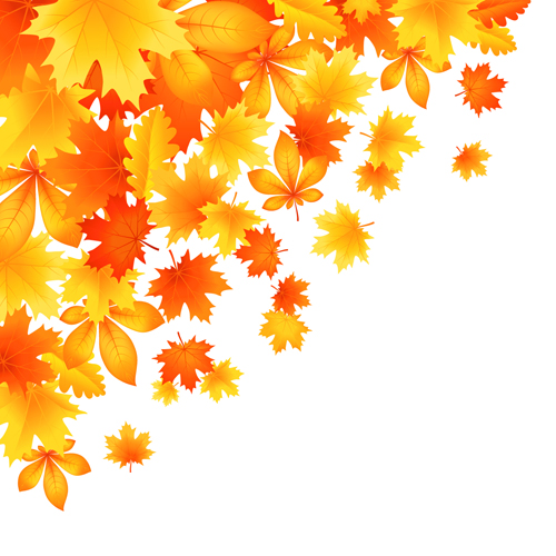 500x500 Beautiful Autumn Leaves Vector 01 Free Download