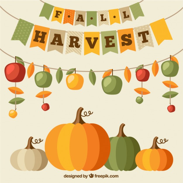 626x626 Fall Harvest Vectors, Photos And Psd Files Free Download