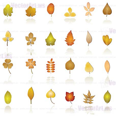 456x456 Autumn Leaf Background And Icons