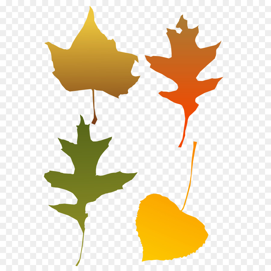900x900 Autumn Leaf Color Clip Art