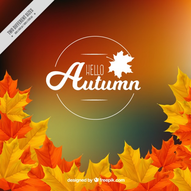 626x626 Fall Vector Backgrounds