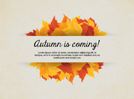 270x200 Free Fall Vector Graphics