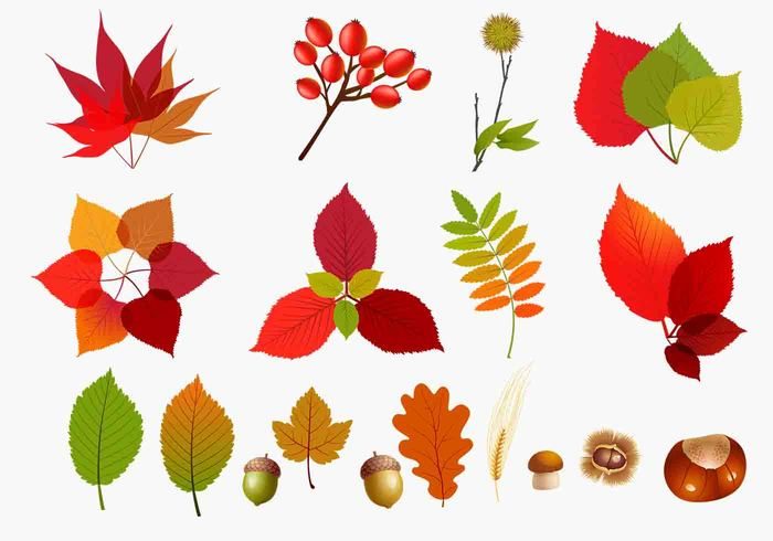 700x490 New Fall Leaves Vector