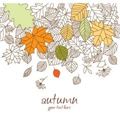 237x250 Autumn Leaf Fall Vector Design Autumn Leaves