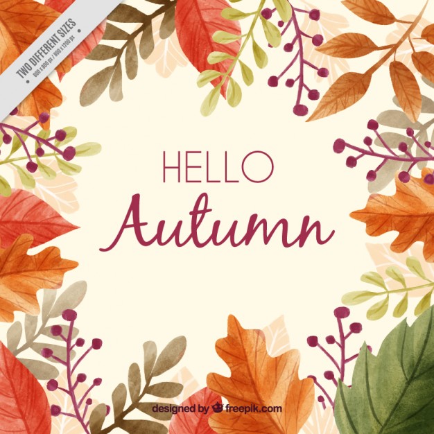 626x626 Beautiful Autumn Background With A Frame Of Leaves Vector Free