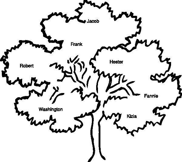 600x533 Draw Family Tree Online Genogram Templates Genopro