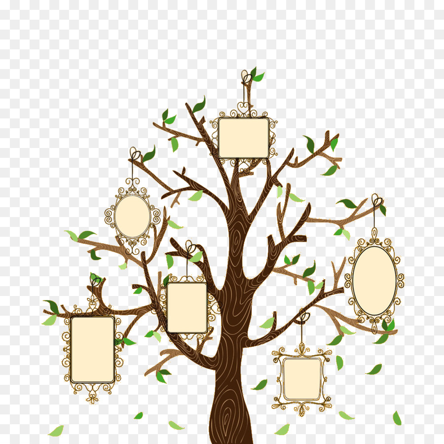 900x900 Family Tree Euclidean Vector Illustration