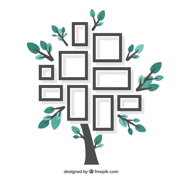 626x626 Family Tree Vectors, Photos And Psd Files Free Download