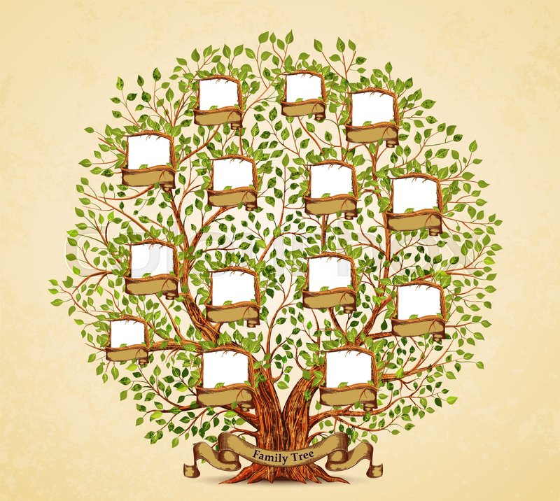 800x716 Family Tree Template Vintage Vector Illustration Stock Vector