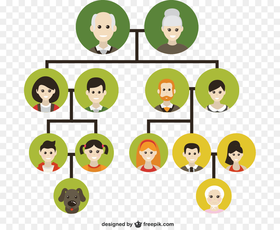 900x740 Family Tree Genealogy Icon