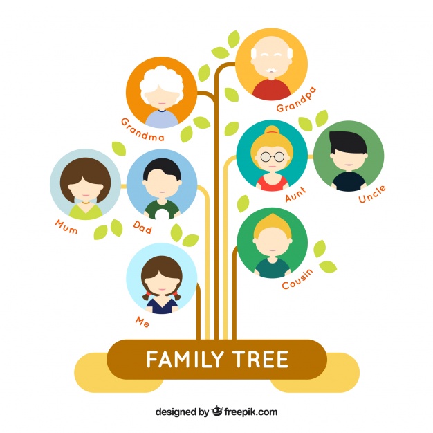 626x626 Fantastic Flat Family Tree With Colored Circles Vector Free Download