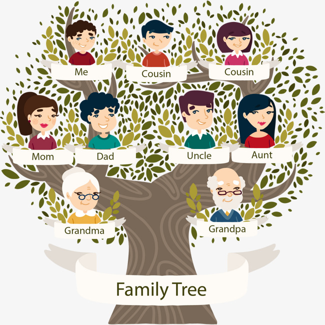 650x650 A Family Tree, Family Vector, Tree Vector, Vector Material Png And