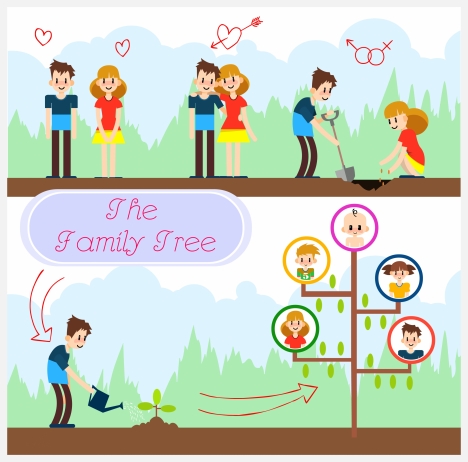 468x462 Family Tree Vector Free Vectors Stock For Free Download About (34