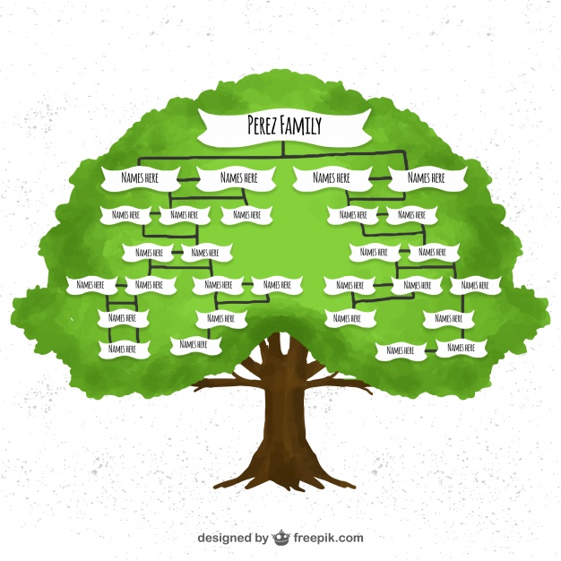 626x626 Watercolor Family Tree Vector Free Download